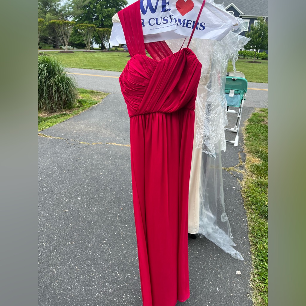 Brand New Max  Cleo Gown